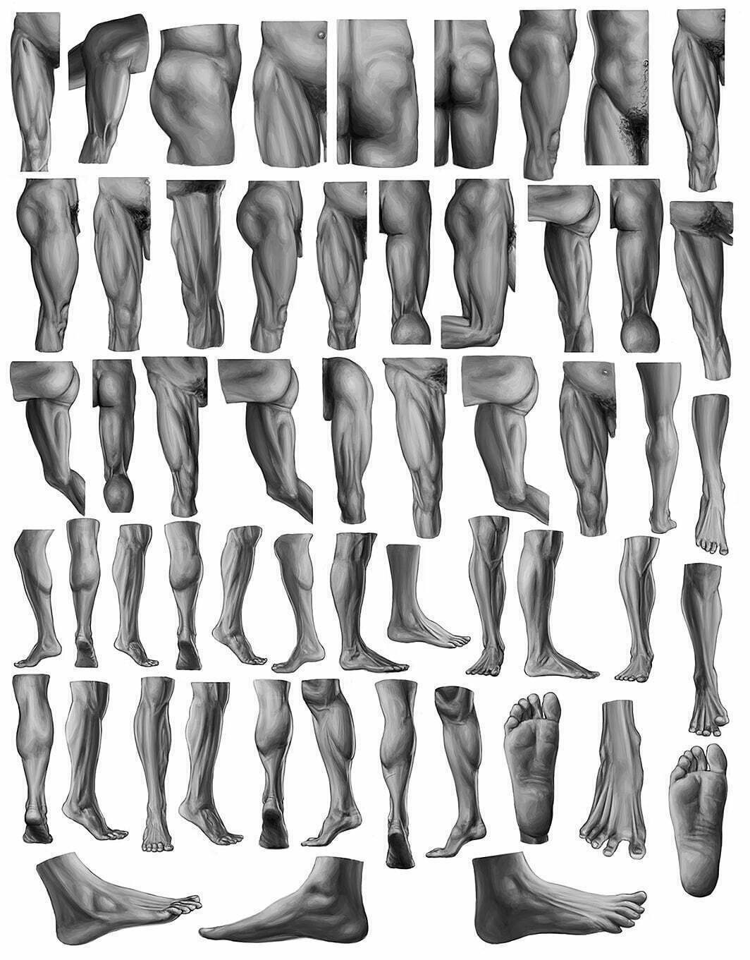 Studies of Lower Body from Eliot Goldfinger's Human Anatomy for Artists