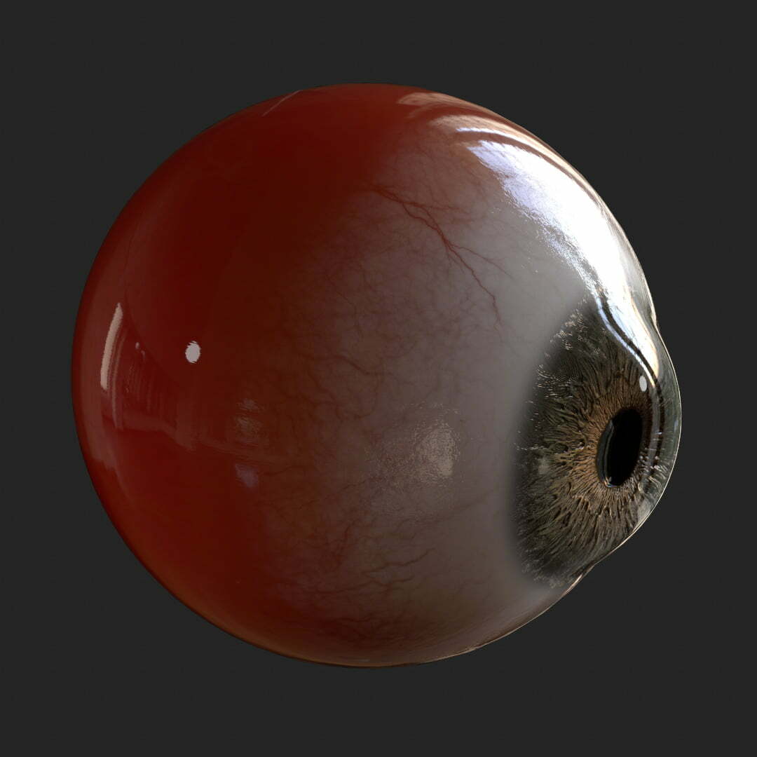 Realistic 3D Eyeball with Sculpted Iris Shader in Marmoset Toolbag Side View by Roy Nottage